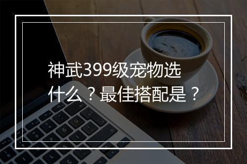 神武399级宠物选什么？最佳搭配是？