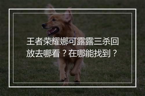 王者荣耀娜可露露三杀回放去哪看？在哪能找到？