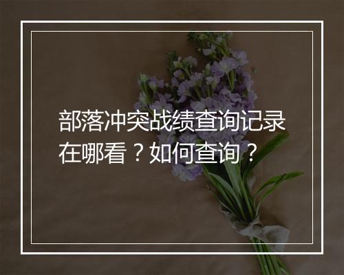 部落冲突战绩查询记录在哪看？如何查询？