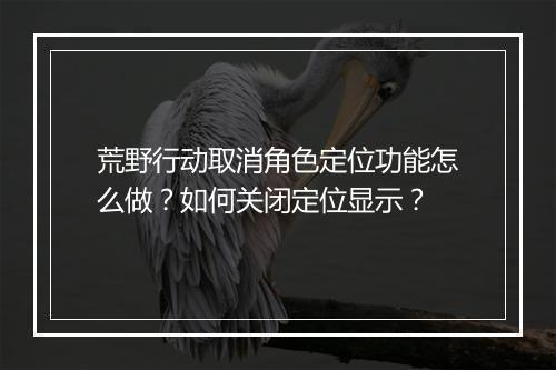荒野行动取消角色定位功能怎么做？如何关闭定位显示？