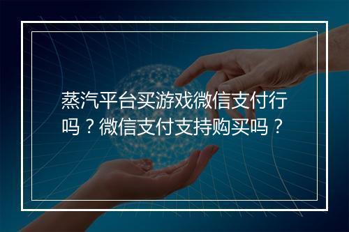 蒸汽平台买游戏微信支付行吗？微信支付支持购买吗？