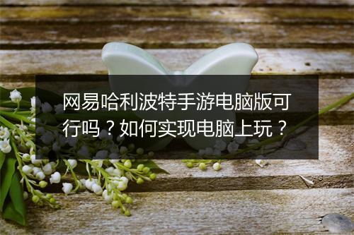 网易哈利波特手游电脑版可行吗？如何实现电脑上玩？