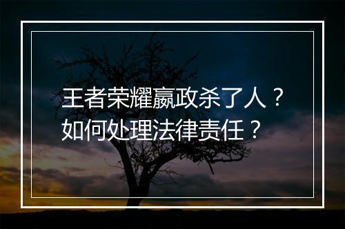 王者荣耀嬴政杀了人？如何处理法律责任？