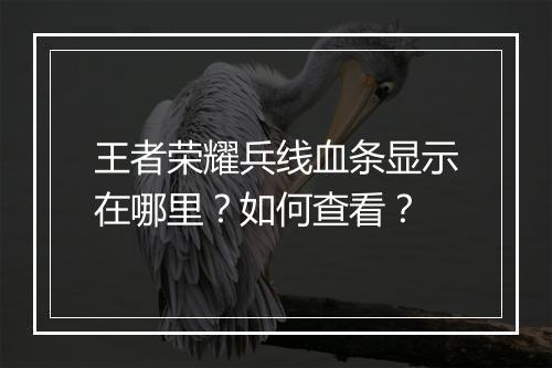 王者荣耀兵线血条显示在哪里？如何查看？