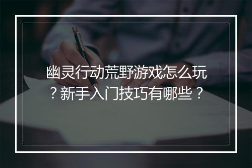 幽灵行动荒野游戏怎么玩？新手入门技巧有哪些？
