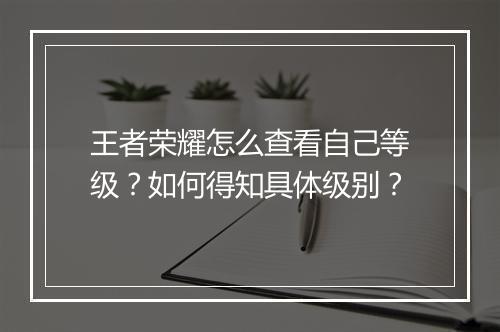 王者荣耀怎么查看自己等级？如何得知具体级别？