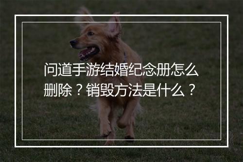 问道手游结婚纪念册怎么删除?销毁方法是什么?
