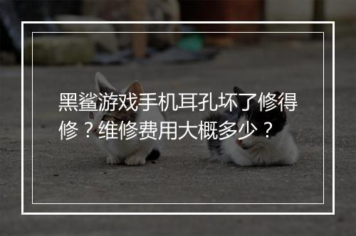 黑鲨游戏手机耳孔坏了修得修？维修费用大概多少？