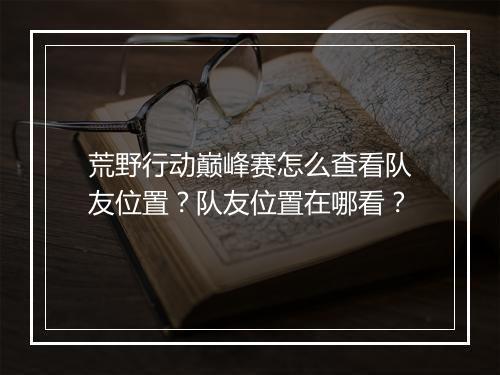 荒野行动巅峰赛怎么查看队友位置？队友位置在哪看？
