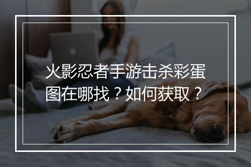 火影忍者手游击杀彩蛋图在哪找？如何获取？