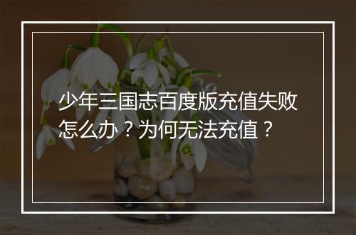 少年三国志百度版充值失败怎么办？为何无法充值？