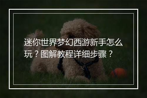 迷你世界梦幻西游新手怎么玩？图解教程详细步骤？