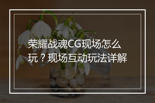 荣耀战魂CG现场怎么玩？现场互动玩法详解