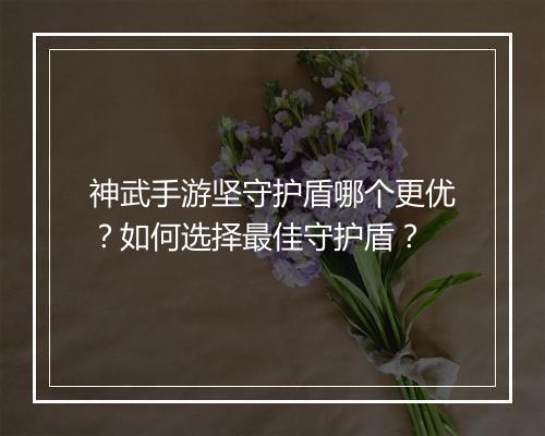 神武手游坚守护盾哪个更优？如何选择最佳守护盾？