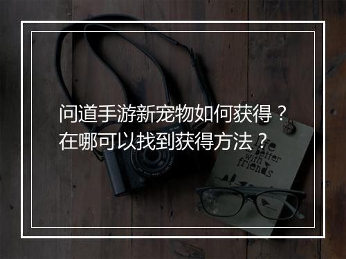 问道手游新宠物如何获得？在哪可以找到获得方法？