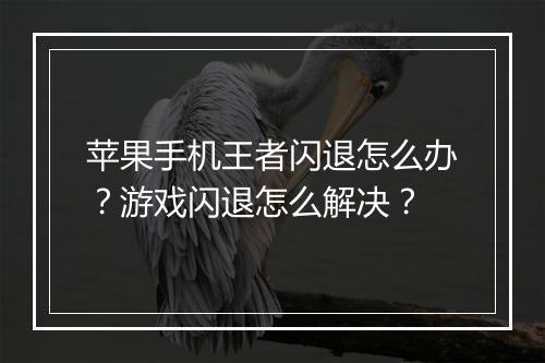 苹果手机王者闪退怎么办？游戏闪退怎么解决？
