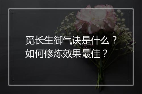 觅长生御气诀是什么？如何修炼效果最佳？