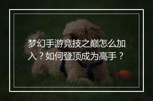 梦幻手游竞技之巅怎么加入？如何登顶成为高手？