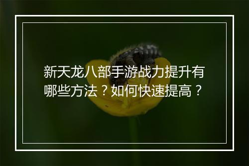 新天龙八部手游战力提升有哪些方法？如何快速提高？