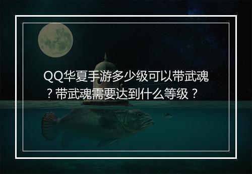QQ华夏手游多少级可以带武魂？带武魂需要达到什么等级？