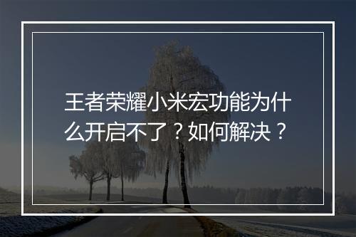 王者荣耀小米宏功能为什么开启不了？如何解决？