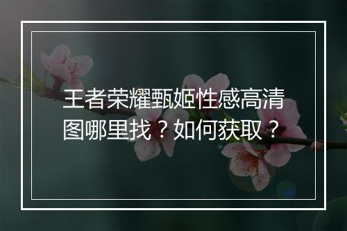 王者荣耀甄姬性感高清图哪里找？如何获取？