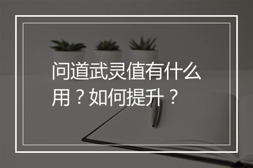 问道武灵值有什么用?如何提升?