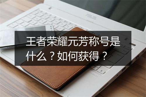 王者荣耀元芳称号是什么？如何获得？