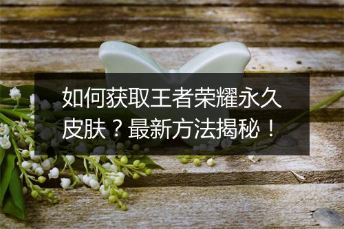 如何获取王者荣耀永久皮肤？最新方法揭秘！