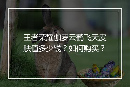 王者荣耀伽罗云鹤飞天皮肤值多少钱?如何购买?