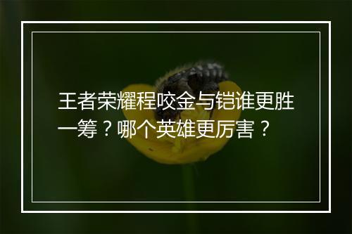 王者荣耀程咬金与铠谁更胜一筹？哪个英雄更厉害？