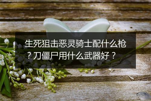 生死狙击恶灵骑士配什么枪?刀僵尸用什么武器好?