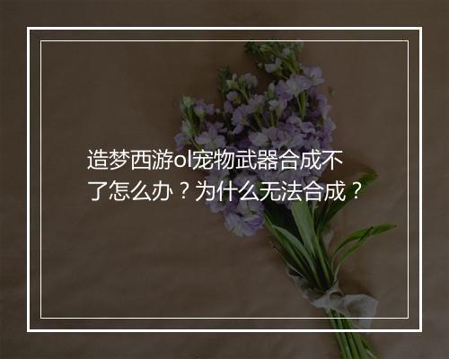 造梦西游ol宠物武器合成不了怎么办？为什么无法合成？