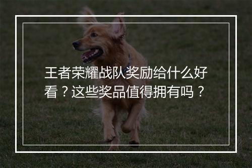 王者荣耀战队奖励给什么好看？这些奖品值得拥有吗？
