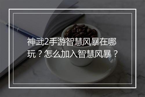 神武2手游智慧风暴在哪玩？怎么加入智慧风暴？