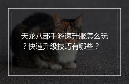 天龙八部手游速升服怎么玩？快速升级技巧有哪些？