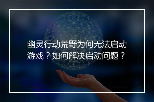 幽灵行动荒野为何无法启动游戏?如何解决启动问题?