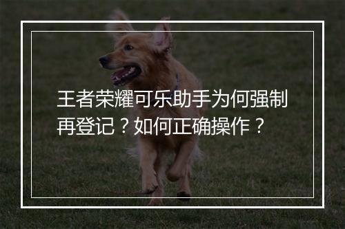 王者荣耀可乐助手为何强制再登记？如何正确操作？