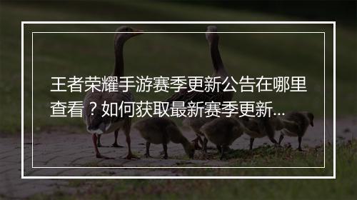 王者荣耀手游赛季更新公告在哪里查看？如何获取最新赛季更新信息？