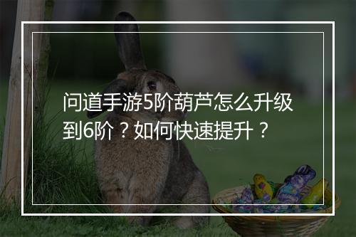 问道手游5阶葫芦怎么升级到6阶？如何快速提升？
