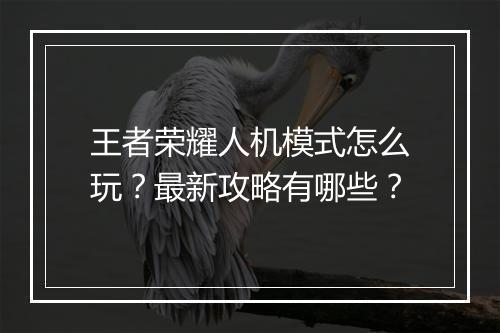 王者荣耀人机模式怎么玩?最新攻略有哪些?