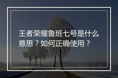 王者荣耀鲁班七号是什么意思？如何正确使用？