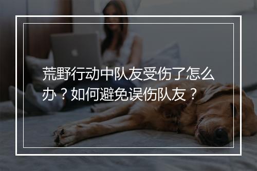 荒野行动中队友受伤了怎么办？如何避免误伤队友？