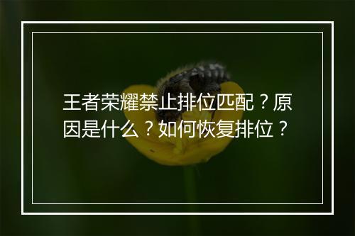 王者荣耀禁止排位匹配？原因是什么？如何恢复排位？