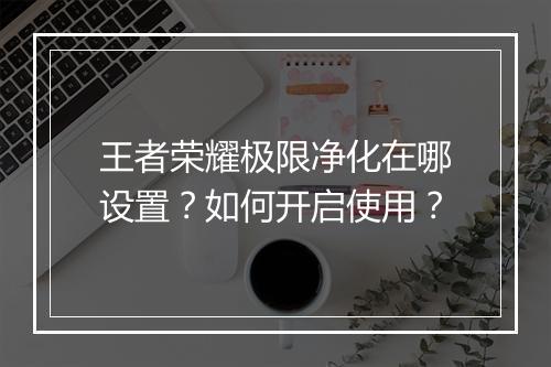 王者荣耀极限净化在哪设置？如何开启使用？
