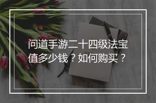 问道手游二十四级法宝值多少钱？如何购买？
