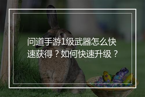 问道手游1级武器怎么快速获得？如何快速升级？
