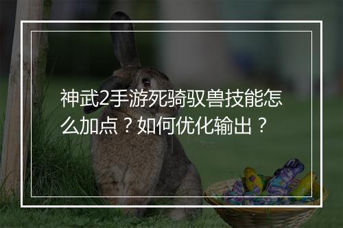 神武2手游死骑驭兽技能怎么加点？如何优化输出？