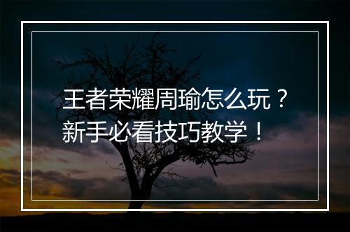 王者荣耀周瑜怎么玩？新手必看技巧教学！