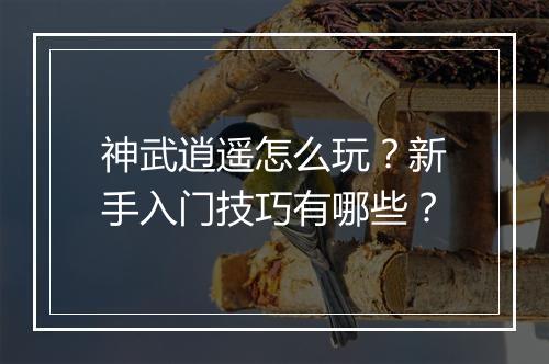 神武逍遥怎么玩？新手入门技巧有哪些？